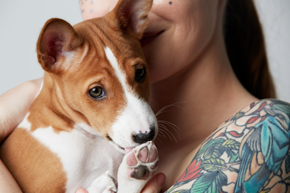A Complete Guide to Emotional Support Dogs Benefits, Breeds & More